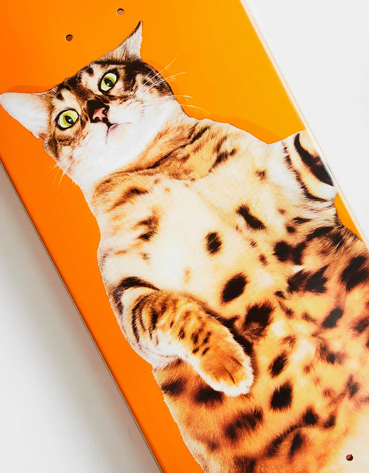 Enjoi Pulizzi Catnip R7 Skateboard Deck - Image 2