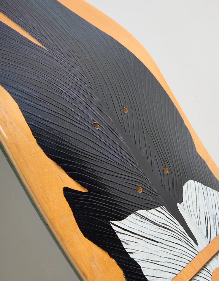 Girl Kennedy Siaz Feather G016 Skateboard Deck - 8.375" - Image 5