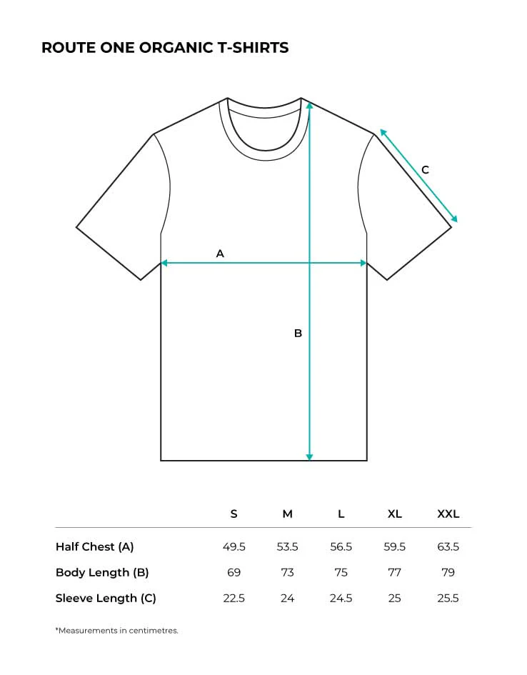 Route One Angling Organic T-Shirt - Glazed Green - Image 3
